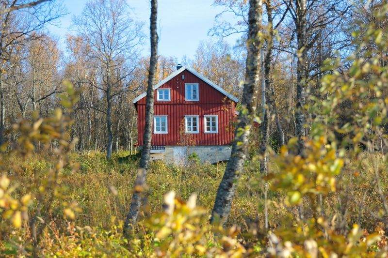 Derfor lønner det seg å få hjelp med hagearbeidet