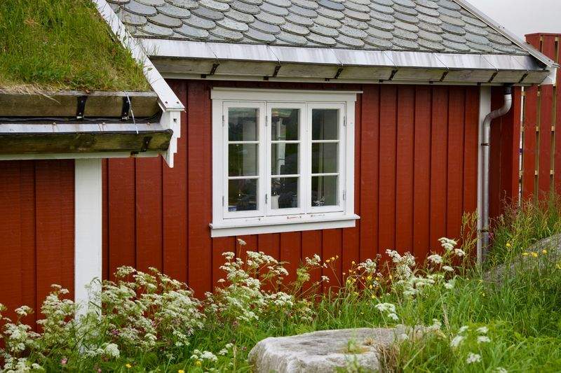 Hekkeklipp og formklipping